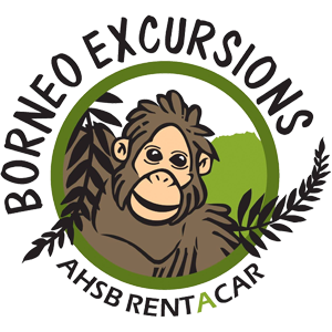 zetlink_solutions_web_design_software_development_mobile_apps_kota_kinabalu_sabah_malaysia_our_valuable_customer_borneo_excursions